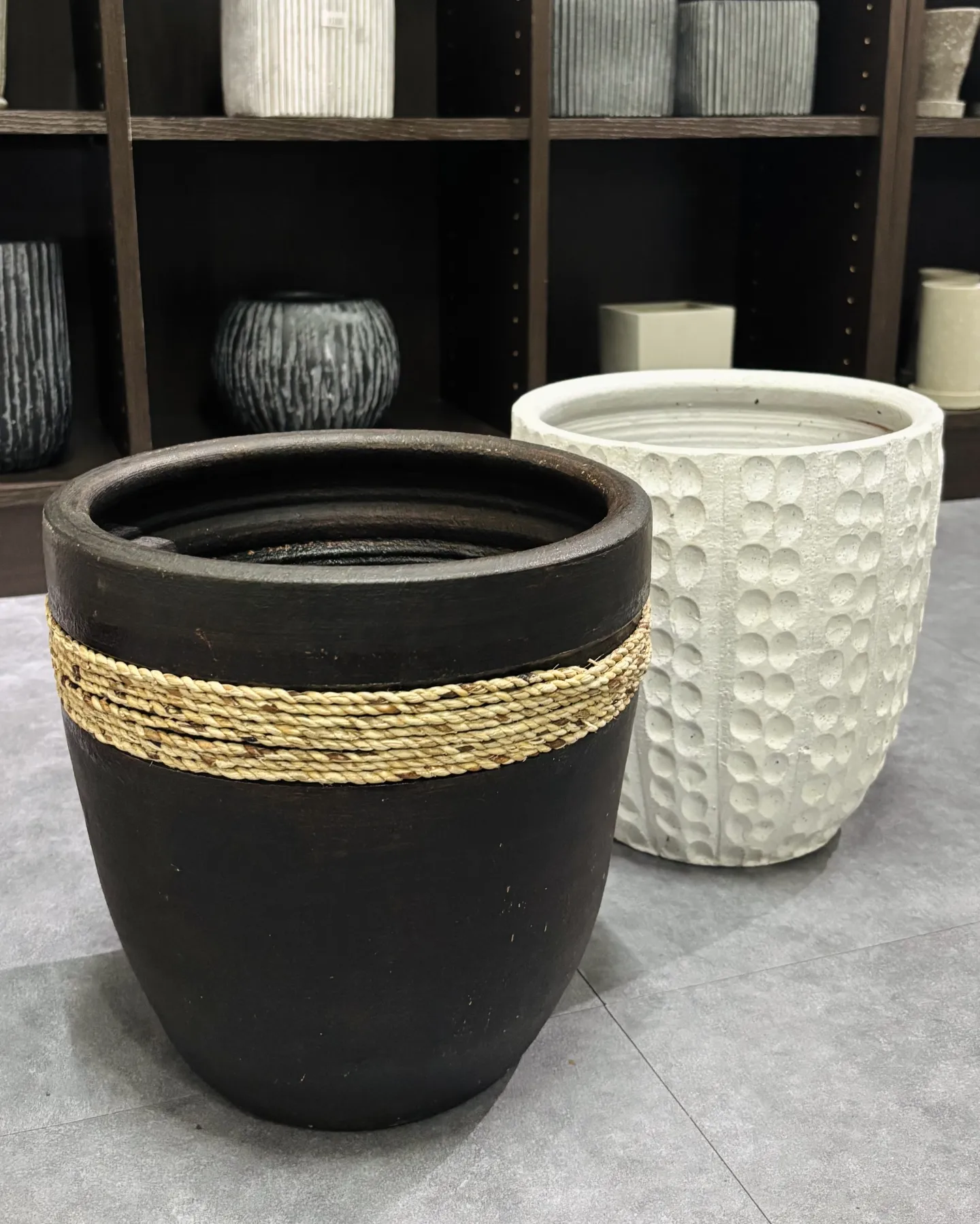 《おしゃれな鉢で植物をもっと素敵に🪴》