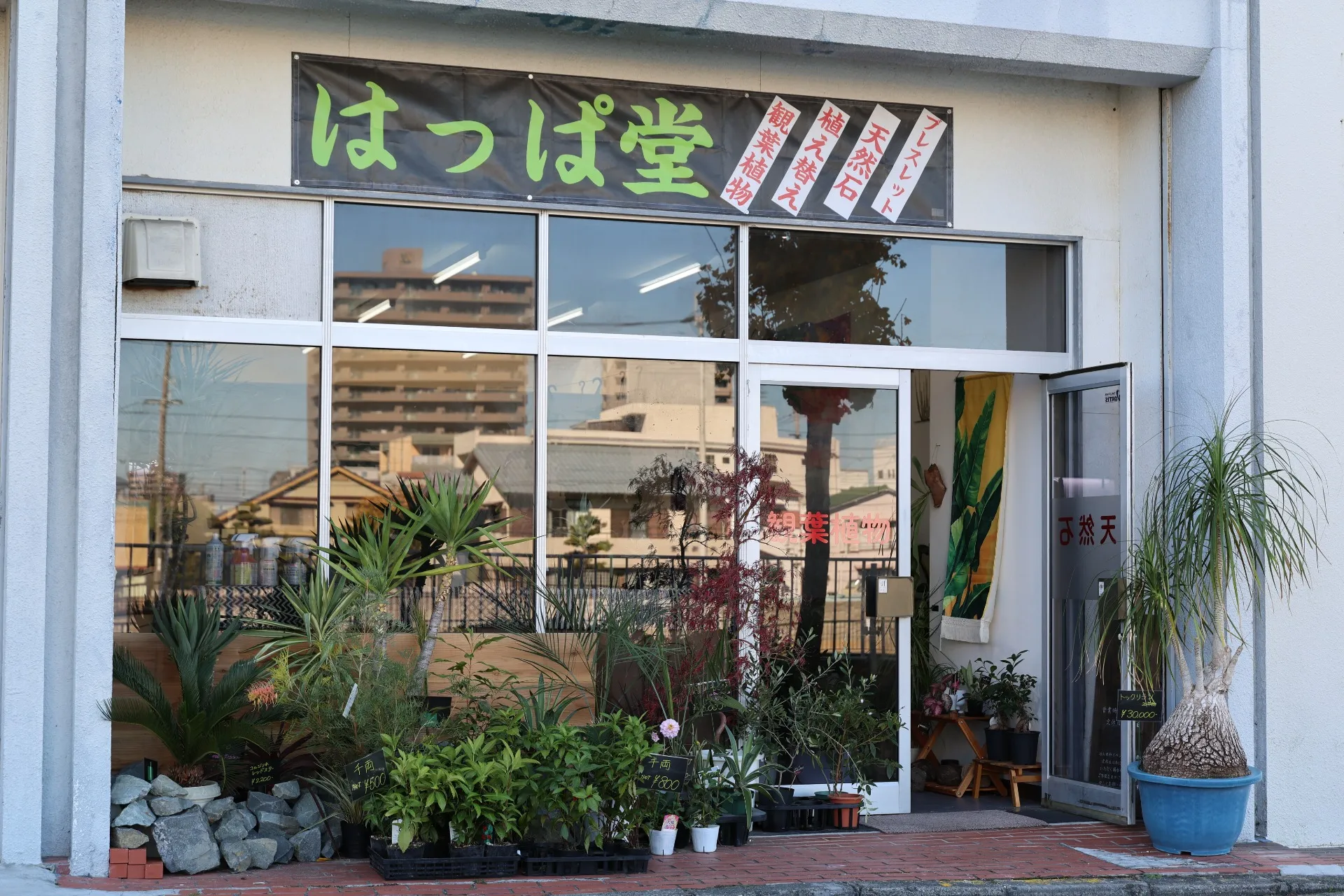 はっぱ堂オリジナルホームページを開設しました!