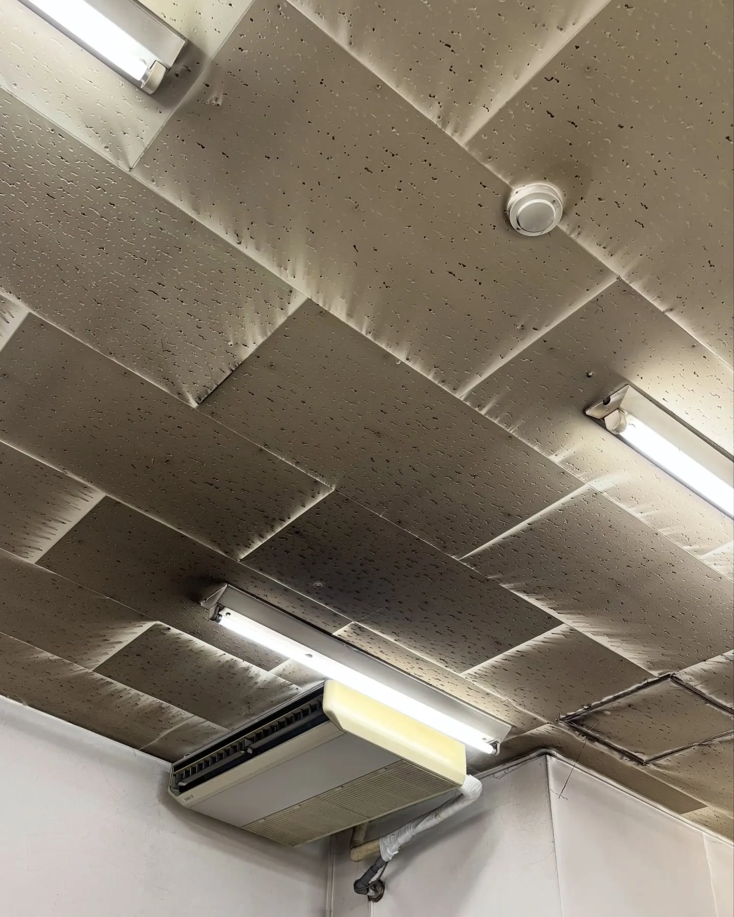 昨日に続き、本日も臨時休業とさせていただきました。